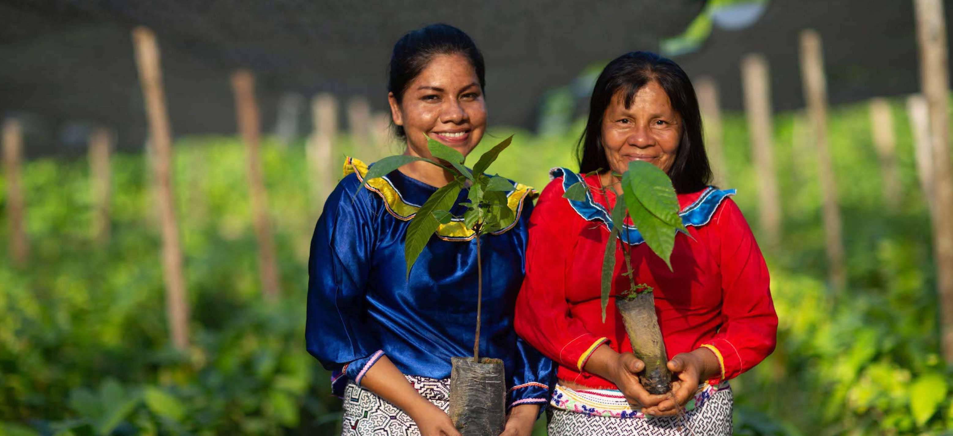 PERUMIN neutralizará emisiones de CO2 mediante proyecto forestal en la selva de Ucayali